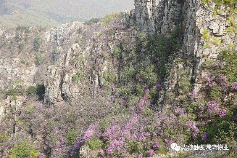 ��ʱ��Ϸ��(�й�)����