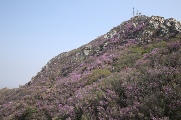 ��ʱ��Ϸ��(�й�)����