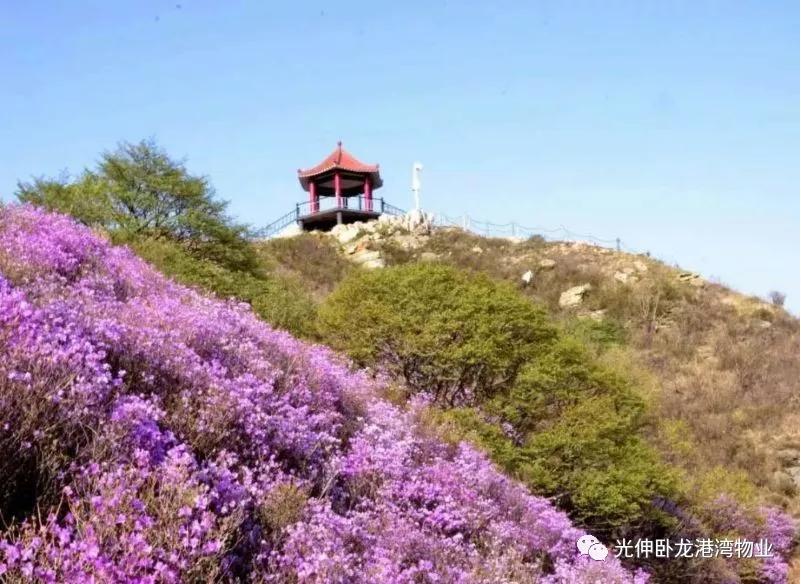 ��ʱ��Ϸ��(�й�)����