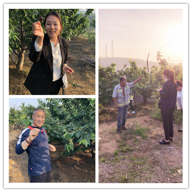 ��ʱ��Ϸ��(�й�)����