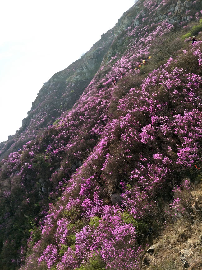 ��ʱ��Ϸ��(�й�)����