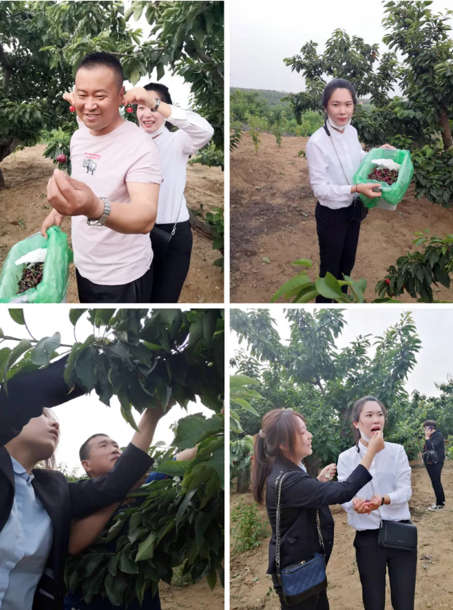 ��ʱ��Ϸ��(�й�)����