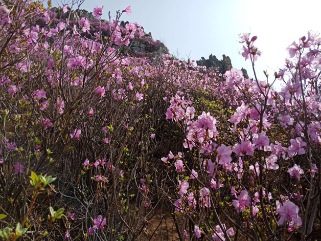 ��ʱ��Ϸ��(�й�)����