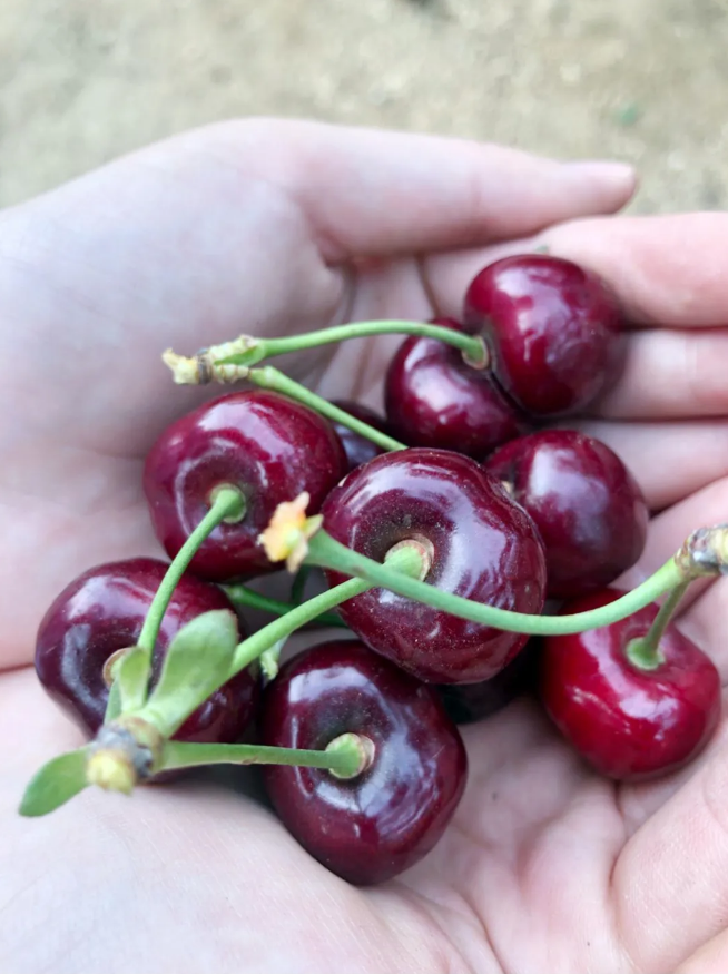 ��ʱ��Ϸ��(�й�)����