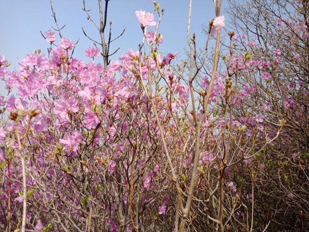 ��ʱ��Ϸ��(�й�)����